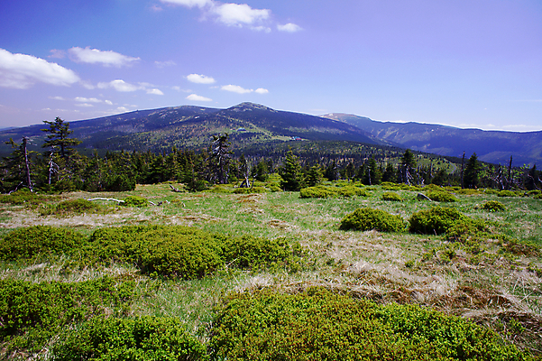 포토 JPG 해외이미지 나무 식물 구름 도로 길 자연 하늘 산 주택 사람없음 여름 바위 나뭇가지 틈 막대기 숲 폴란드 해외202004 해외포토 자연요소 계절 유럽 교통시설 건물 돌_바위 생태계 파일형식 이미지허브