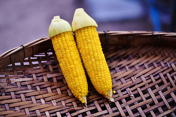포토 JPG 해외이미지 음식 백그라운드 농업 채소 자연 건강 옥수수 요리 씨앗 사람없음 노란색 수확 흰색 신선 뜨거움 개울 달콤 낟알 먹기 유기농 점심식사 숙성 채식주의자 해외202004 해외포토 식물 웰빙 산업 컬러 모션 곡류 강 식사 맛 생태계 채식 파일형식 이미지허브