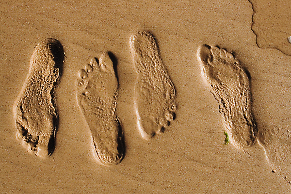 포토 JPG 해외이미지 1 길 모래 파도 여행 백그라운드 자국 맨발 자연 휴가 사람 해변 사람없음 야외 걷기 산책 떨어짐 인쇄 발자국 오솔길 사인 싱글 질감 발가락 단계 방법 선로 양발 혼자 해외202004 해외포토 바다 컨셉 모션 발 휴식 생태계 파일형식 이미지허브