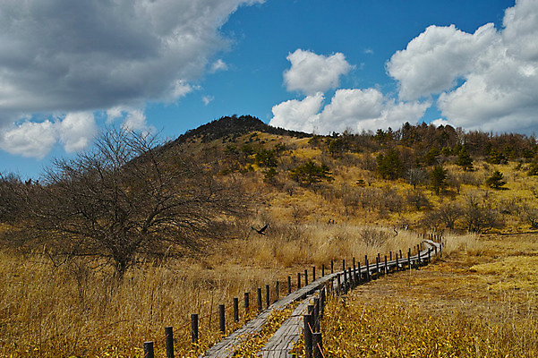 포토 JPG 주간 나무 구름 자연 하늘 산 풍경 사람없음 야외 울타리 산책로 국내포토 자연요소 식물 길 담장 생태계 파일형식