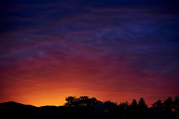 포토 JPG 나무 구름 실루엣 자연현상 자연 하늘 산 풍경 사람없음 야외 일몰 국내포토 자연요소 식물 촬영기법 노을 생태계 파일형식