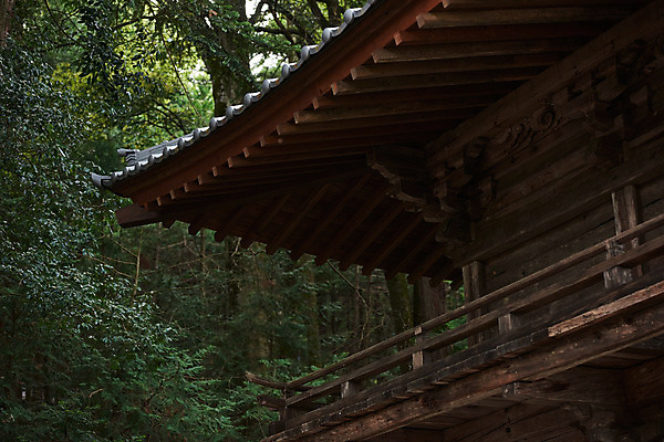 포토 JPG 주간 나무 고건축 일본문화 사람없음 야외 일본 일본전통 목조주택 국내포토 자연요소 식물 동양문화 전통 건축물 아시아 외국문화 파일형식