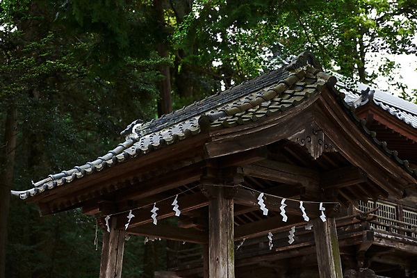 포토 JPG 주간 나무 고건축 일본문화 사람없음 야외 일본 사찰 일본전통 소원 일본건축 목조주택 미신 소원빌기 신앙심 오미쿠지 국내포토 자연요소 식물 동양문화 전통 건축물 아시아 외국문화 종교건축 동양건축 파일형식