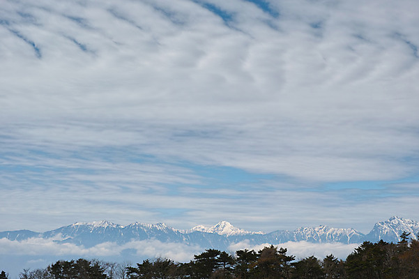 포토 JPG 주간 나무 구름 자연 하늘 산 풍경 사람없음 야외 만년설 국내포토 자연요소 식물 생태계 파일형식