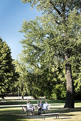 포토 JPG 주간 전신 서양인 나무 우먼라이프 공원 여자 음료 벤치 탁자 앉기 20대 성인 야외 앞모습 세명 친구 소풍 손인사 프라하 음료수병 성인여자만 국내포토 자연요소 외국인 식물 라이프스타일 공공시설 뷰포인트 가구 의자 관계 모션 사람 청년 야외활동 인사 체코 병_담는 여자만 성인만 파일형식