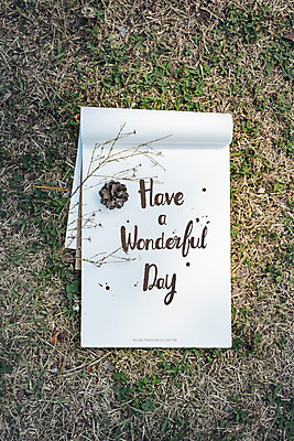 PSD 편집이미지 캘리그라피 잔디 글자캘리그라피 사람없음 나뭇가지 스케치북 솔방울 목업 이미지편집 나무 식물 학용품 파일형식