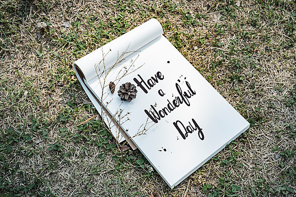 PSD 편집이미지 캘리그라피 잔디 글자캘리그라피 사람없음 공책 나뭇가지 스케치북 솔방울 목업 이미지편집 나무 식물 문구용품 학용품 파일형식