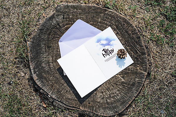 PSD 편집이미지 캘리그라피 편지봉투 잔디 글자캘리그라피 사람없음 하이앵글 편지 편지지 솔방울 나무밑둥 목업 이미지편집 나무 식물 뷰포인트 봉투 파일형식