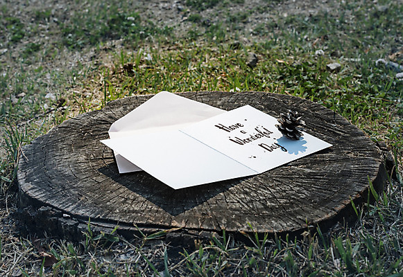 PSD 편집이미지 캘리그라피 잔디 글자캘리그라피 사람없음 편지 편지지 솔방울 나무밑둥 목업 이미지편집 나무 식물 파일형식