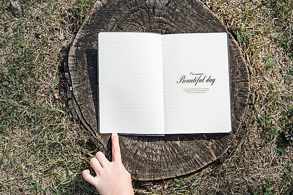 PSD 편집이미지 손 캘리그라피 한손 잔디 글자캘리그라피 신체부위 하이앵글 다이어리 공책 나무밑둥 목업 이미지편집 나무 식물 뷰포인트 문구용품 사람 사무용품 파일형식