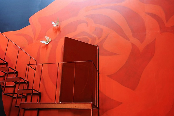 포토 JPG 벽 나비 백그라운드 실내 사람없음 문 계단 그림 국내포토 곤충 내부 파일형식