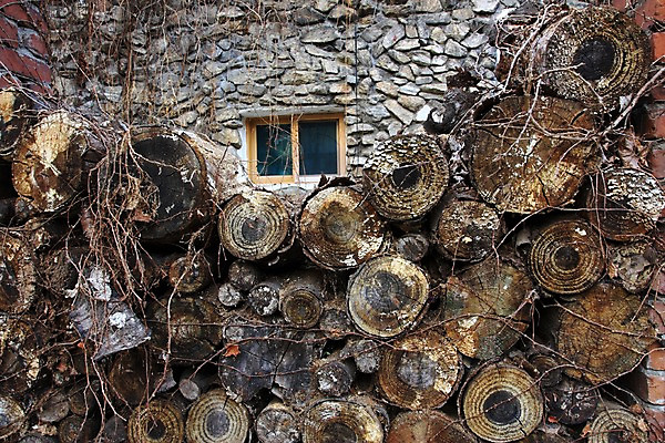 포토 JPG 주간 벽 백그라운드 창문 풍경 사람없음 야외 담장 나무토막 국내포토 자연요소 파일형식