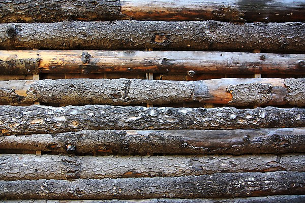 포토 JPG 주간 나무 백그라운드 풍경 사람없음 야외 나무벽 국내포토 자연요소 식물 벽 목재 파일형식