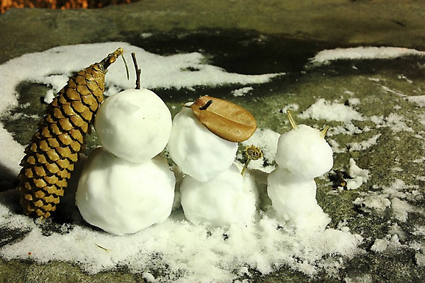 포토 JPG 백그라운드 눈사람 나뭇잎 거리풍경 풍경 사람없음 야외 야간 국내포토 자연요소 잎 거리 파일형식