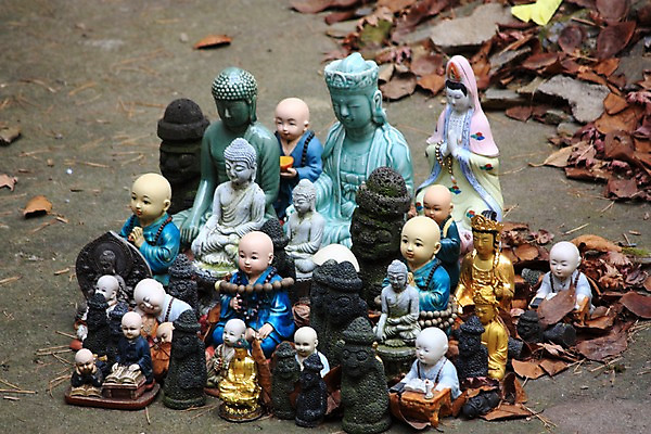 포토 JPG 백그라운드 낙엽 종교용품 풍경 사람없음 승려 불교용품 동자승 부처 국내포토 종교 잎 불교 성직자 파일형식