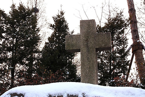 포토 JPG 나무 종교 백그라운드 십자가 겨울 풍경 사람없음 눈 겨울풍경 국내포토 자연요소 식물 계절 날씨 파일형식