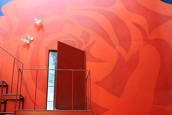 포토 JPG 벽 나비 백그라운드 실내 사람없음 문 계단 그림 국내포토 곤충 내부 파일형식