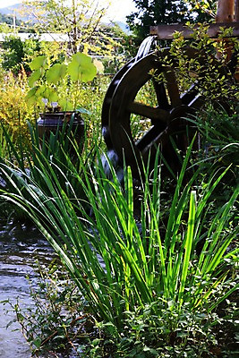 포토 JPG 주간 백그라운드 풍경 사람없음 야외 연못 풀 물래방아 국내포토 자연요소 식물 파일형식