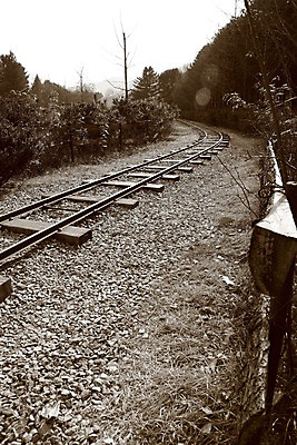 포토 JPG 주간 나무 백그라운드 흑백 풍경 사람없음 야외 기찻길 철도의날 국내포토 자연요소 식물 촬영기법 파일형식 법정기념일