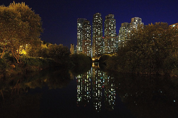 포토 JPG 나무 야경 한국 물그림자 빌딩 사람없음 야외 고층빌딩 연못 도시 국내포토 식물 아시아 그림자 건물 야간 파일형식 풍경_경치