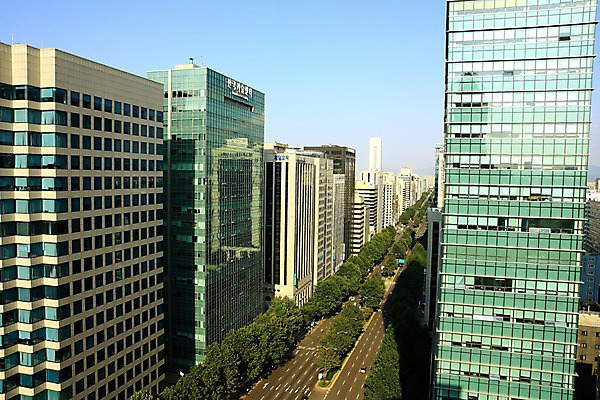 포토 JPG 주간 나무 도로 하늘 한국 풍경 빌딩 사람없음 야외 고층빌딩 도시 도심 국내포토 자연요소 식물 아시아 길 교통시설 건물 파일형식