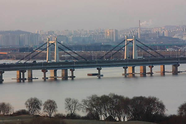 포토 JPG 주간 나무 아파트 한국 풍경 빌딩 사람없음 야외 강 도시 도심 가교 국내포토 자연요소 식물 건축물 아시아 주택 건물 파일형식
