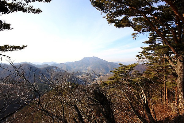 포토 JPG 주간 나무 구름 자연 하늘 산 풍경 사람없음 야외 숲 국내포토 자연요소 식물 생태계 파일형식