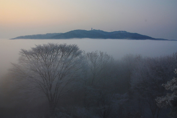 포토 JPG 주간 나무 설경 자연 산 풍경 사람없음 야외 안개 눈 남한산성 겨울풍경 국내포토 광주시 자연요소 식물 겨울 날씨 생태계 경기도 파일형식