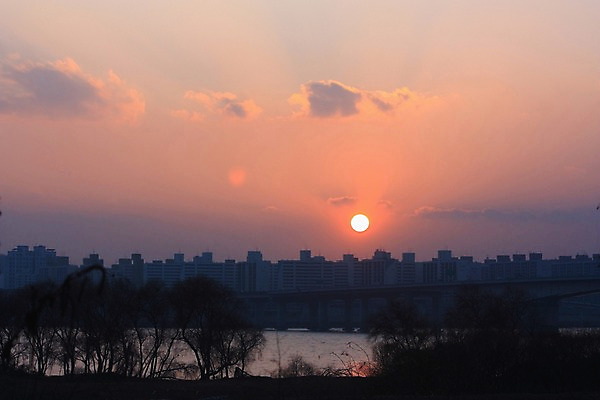 포토 JPG 나무 구름 자연현상 하늘 아파트 서울 풍경 사람없음 야외 강 태양 일몰 도시 가교 국내포토 자연요소 식물 건축물 자연 주택 한국 노을 파일형식