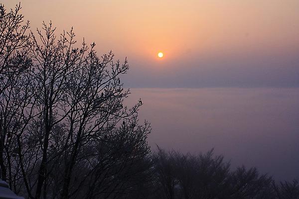 포토 JPG 나무 자연현상 하늘 풍경 사람없음 야외 태양 일몰 광주 남한산성 국내포토 자연요소 식물 자연 한국 노을 경기도 파일형식