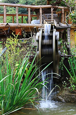 포토 JPG 주간 풍경 사람없음 야외 풀잎 물레방아 물흐름 국내포토 자연요소 잎 흐름 풀_식물 파일형식