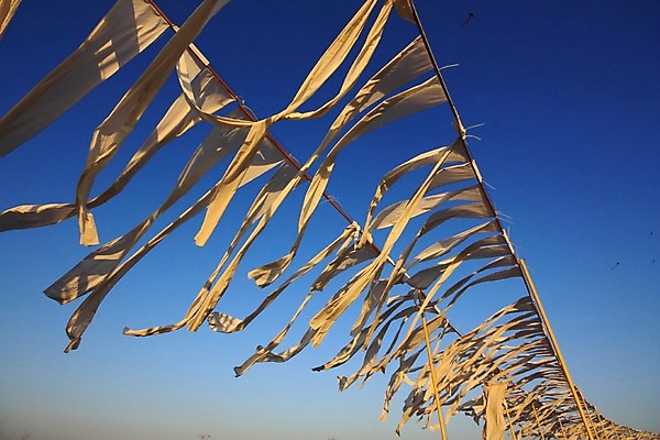 포토 JPG 주간 하늘 날리기 풍경 사람없음 야외 깃발 천 국내포토 자연요소 모션 직물 파일형식