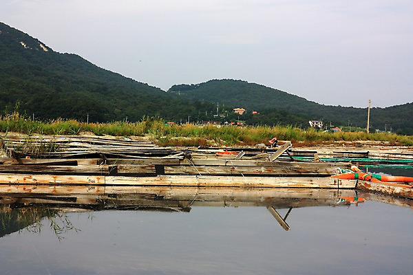 포토 JPG 주간 자연 하늘 산 풍경 사람없음 야외 어촌 염전 국내포토 자연요소 시골 시설 생태계 파일형식