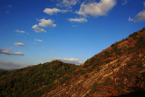 포토 JPG 주간 구름 단풍 자연 하늘 산 풍경 사람없음 야외 가을 국내포토 자연요소 계절 잎 생태계 파일형식