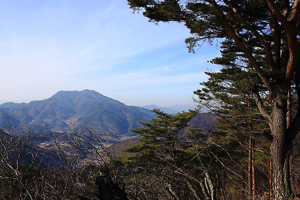 포토 JPG 주간 나무 구름 자연 하늘 산 풍경 사람없음 야외 숲 국내포토 자연요소 식물 생태계 파일형식