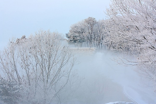 포토 JPG 주간 나무 설경 자연 풍경 사람없음 야외 안개 눈 숲 남한산성 겨울풍경 국내포토 광주시 자연요소 식물 겨울 날씨 생태계 경기도 파일형식