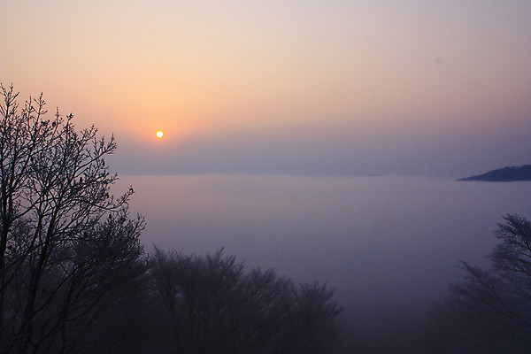 포토 JPG 주간 나무 자연현상 하늘 풍경 사람없음 야외 태양 일몰 안개 남한산성 국내포토 광주시 자연요소 식물 자연 날씨 노을 경기도 파일형식