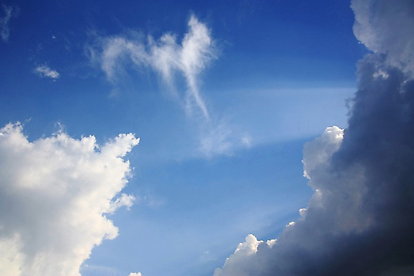 포토 JPG 주간 구름 자연 하늘 풍경 사람없음 야외 햇빛 빛무리 국내포토 자연요소 빛 태양 생태계 파일형식