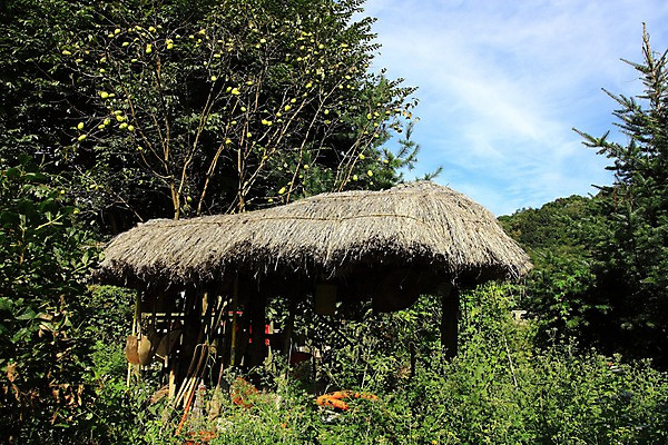 포토 JPG 주간 나무 구름 자연 하늘 풍경 사람없음 야외 숲 원두막 국내포토 자연요소 식물 생태계 파일형식