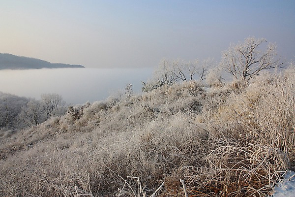 포토 JPG 주간 나무 설경 자연 하늘 산 풍경 사람없음 야외 눈 남한산성 겨울풍경 국내포토 광주시 자연요소 식물 겨울 날씨 생태계 경기도 파일형식