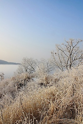 포토 JPG 주간 나무 설경 자연 하늘 풍경 사람없음 야외 눈 남한산성 겨울풍경 국내포토 광주시 자연요소 식물 겨울 날씨 생태계 경기도 파일형식