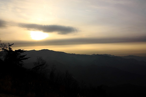 포토 JPG 주간 나무 구름 실루엣 자연현상 하늘 산 풍경 사람없음 야외 태양 일몰 국내포토 자연요소 식물 자연 촬영기법 노을 파일형식