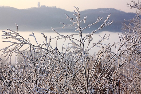 포토 JPG 주간 설경 자연 산 풍경 사람없음 야외 아웃포커스 나뭇가지 눈 남한산성 겨울풍경 국내포토 광주시 자연요소 나무 겨울 날씨 촬영기법 생태계 경기도 파일형식