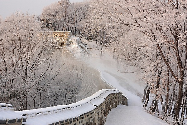 포토 JPG 주간 나무 설경 자연 풍경 사람없음 야외 눈 성 남한산성 성곽길 겨울풍경 국내포토 광주시 자연요소 식물 건축물 길 겨울 날씨 생태계 경기도 파일형식