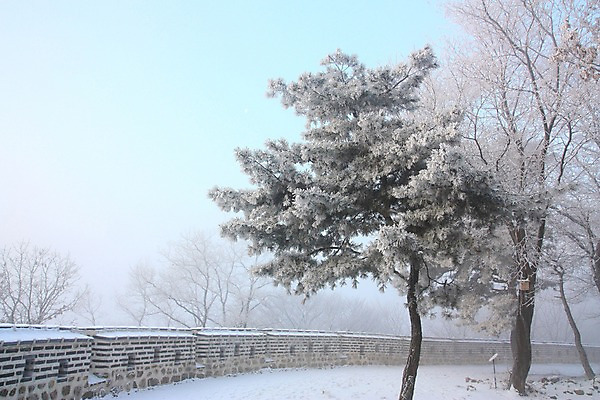 포토 JPG 주간 나무 설경 자연 하늘 풍경 사람없음 야외 눈 성 남한산성 성곽길 겨울풍경 국내포토 광주시 자연요소 식물 건축물 길 겨울 날씨 생태계 경기도 파일형식