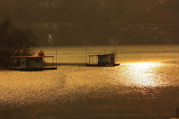 포토 JPG 주간 나무 자연 풍경 사람없음 야외 강 일몰 낚시터 춘천 의암호 국내포토 자연요소 식물 호수 노을 생태계 강원도 파일형식