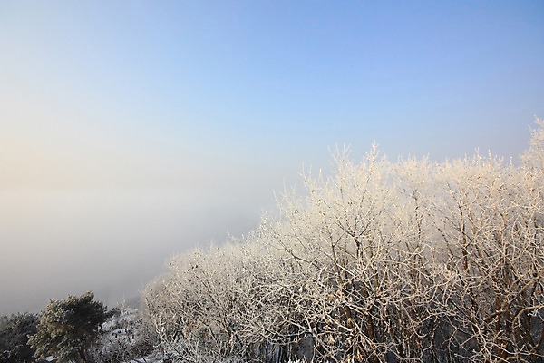 포토 JPG 주간 나무 구름 설경 자연 하늘 풍경 사람없음 야외 눈 숲 남한산성 겨울풍경 국내포토 광주시 자연요소 식물 겨울 날씨 생태계 경기도 파일형식