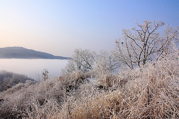 포토 JPG 주간 나무 설경 자연 하늘 산 풍경 사람없음 야외 눈 숲 남한산성 겨울풍경 국내포토 광주시 자연요소 식물 겨울 날씨 생태계 경기도 파일형식