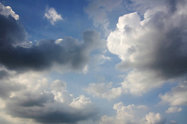 포토 JPG 주간 설경 자연 풍경 사람없음 야외 눈 겨울풍경 국내포토 자연요소 겨울 날씨 생태계 파일형식