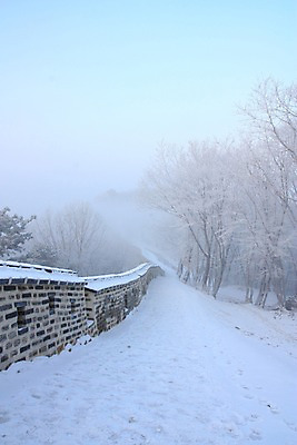 포토 JPG 주간 나무 설경 자연 하늘 풍경 사람없음 야외 안개 눈 성 남한산성 성곽길 겨울풍경 국내포토 광주시 자연요소 식물 건축물 길 겨울 날씨 생태계 경기도 파일형식